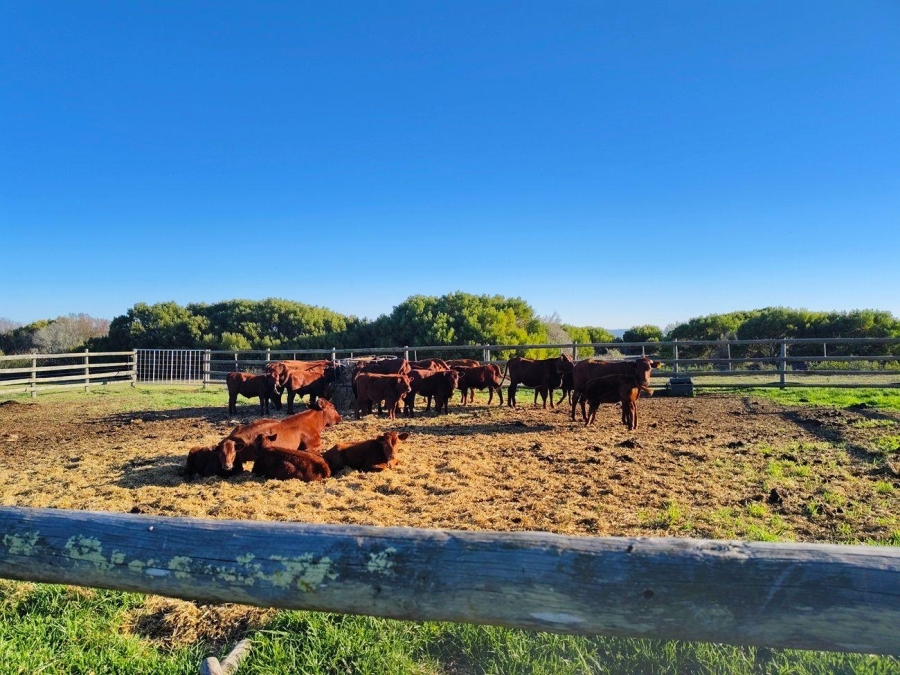  Bedroom Property for Sale in Riversdale Rural Western Cape